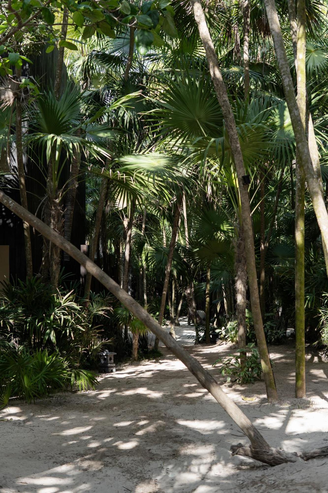 Umi Tulum Hotel ภายนอก รูปภาพ