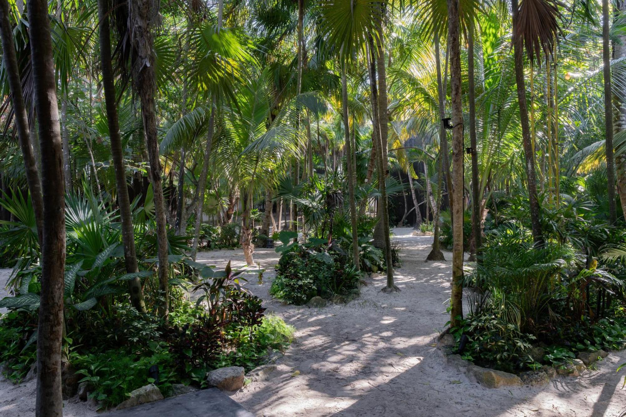 Umi Tulum Hotel ภายนอก รูปภาพ