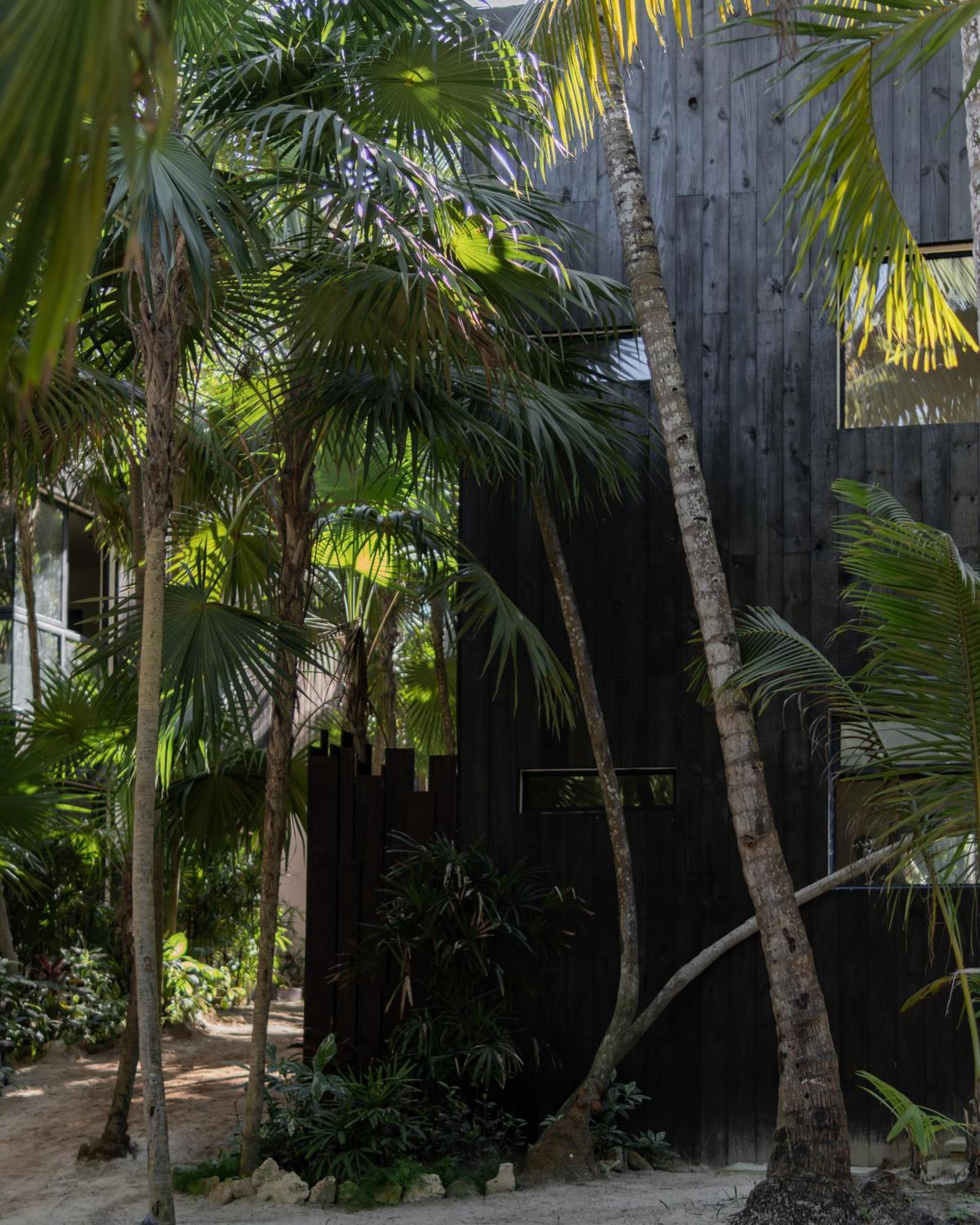 Umi Tulum Hotel ภายนอก รูปภาพ